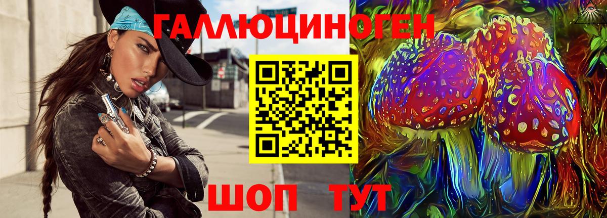 Елизово  Псилоцибиновые грибы Psilocybine cubensis  Вход с VPN 